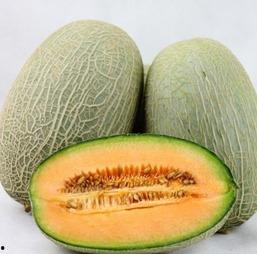 江苏网红吃瓜事件,揭秘网络舆论背后的真相