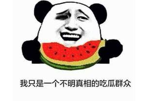 吃瓜爆料啥意思,吃瓜爆料背后的真相与内幕