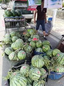 廊坊文安网红吃瓜事件