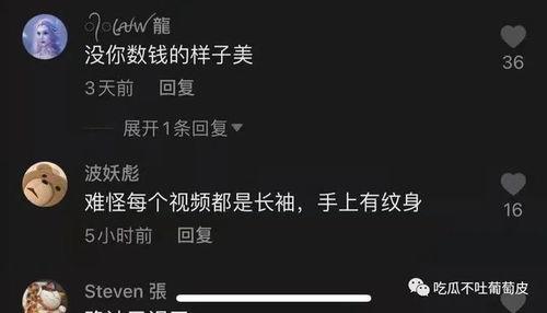 抖音各种网红吃瓜网站,揭秘网络红人背后的故事