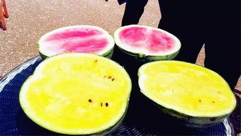 今年吃瓜爆料,热点事件盘点与幕后真相揭晓